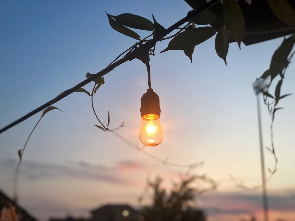 summer night light bulb